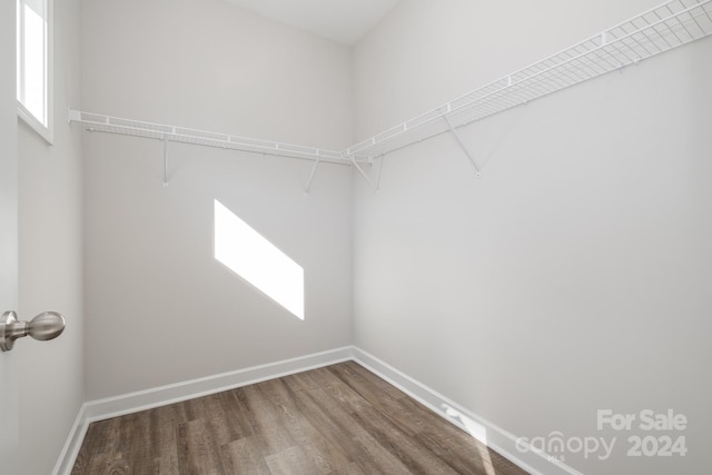 spacious closet featuring hardwood / wood-style floors