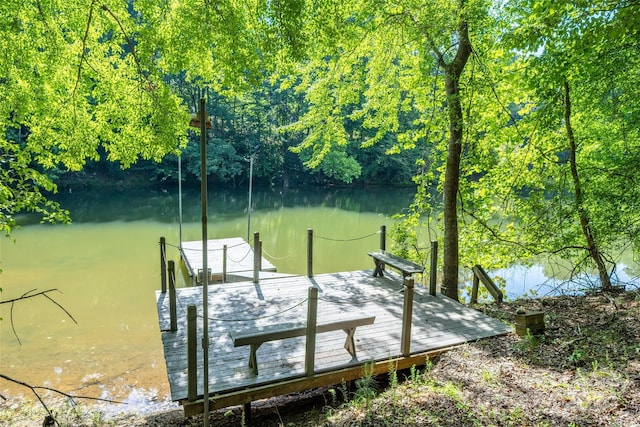 dock area with a water view