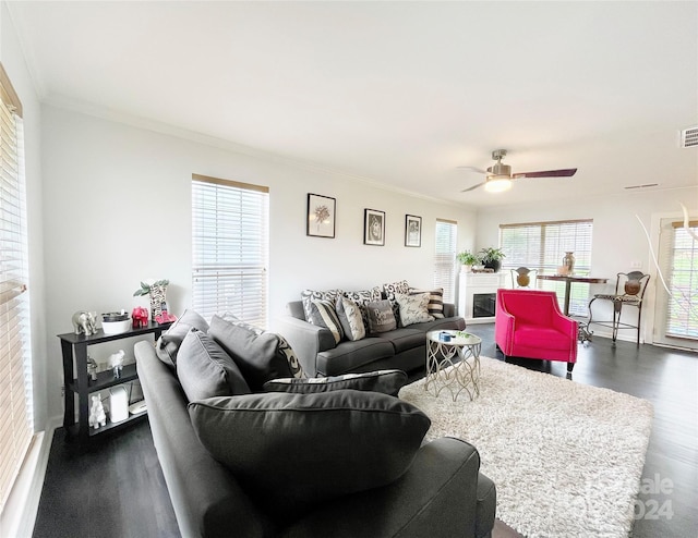 living room featuring crown molding, dark wood-type flooring, and ceiling fan