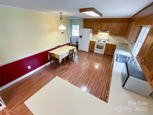 kitchen featuring white appliances, crown molding, pendant lighting, dark hardwood / wood-style floors, and sink