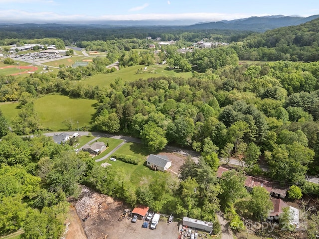 152 Ben Lippen Rd, Asheville, NC 28806 - photo 45