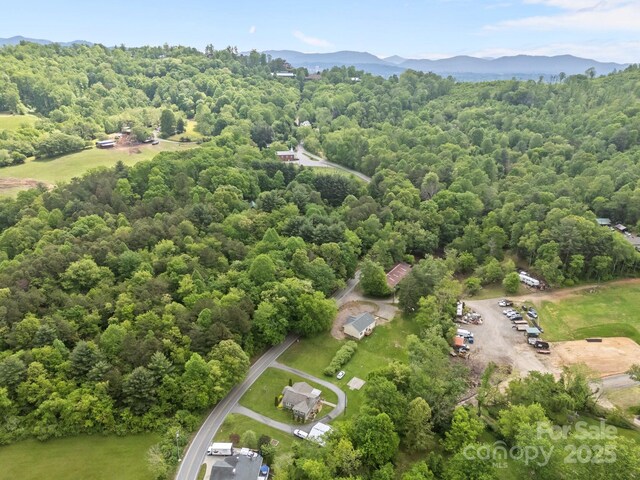 152 Ben Lippen Rd, Asheville, NC 28806 - photo 46