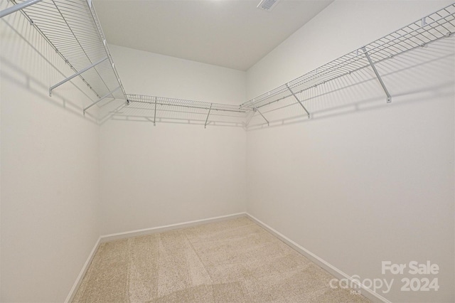 spacious closet with carpet