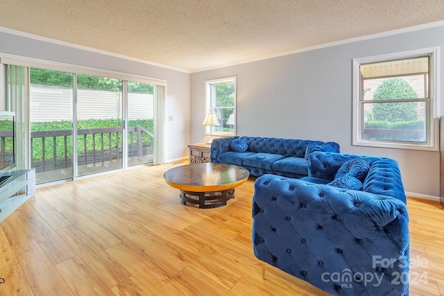 living room featuring a textured ceiling, light hardwood / wood-style flooring, and ornamental molding