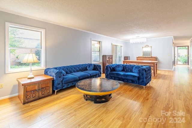 living room featuring crown molding, a textured ceiling, and light wood-type flooring