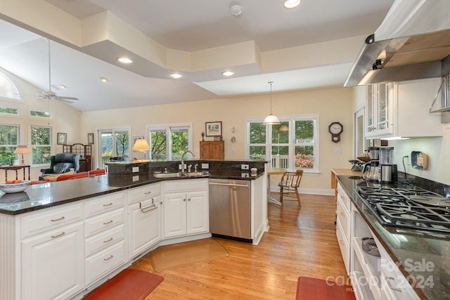 kitchen with ceiling fan, exhaust hood, sink, dishwasher, and white cabinetry