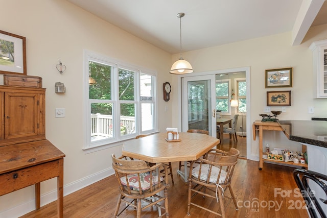 dining room with hardwood / wood-style flooring