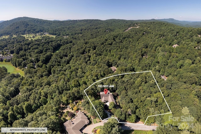 birds eye view of property featuring a mountain view