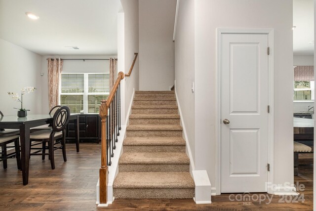 staircase featuring dark hardwood / wood-style floors and a healthy amount of sunlight