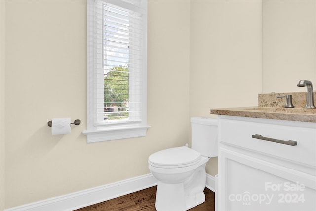 bathroom with toilet, wood-type flooring, and vanity