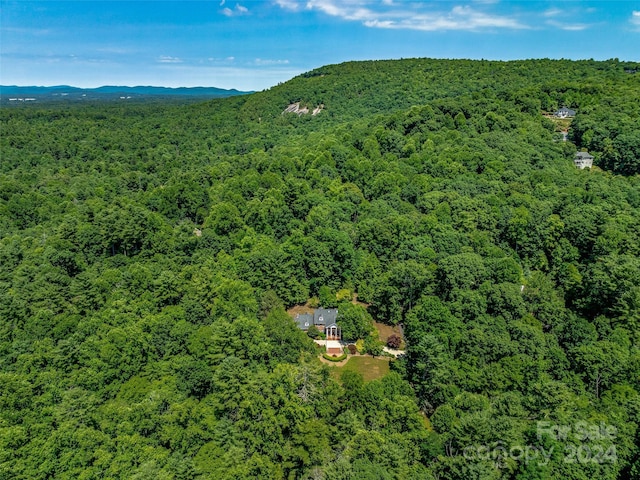 bird's eye view featuring a mountain view