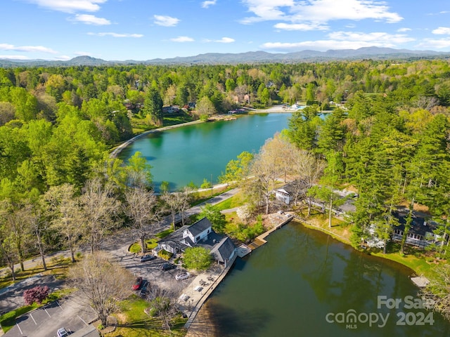 bird's eye view with a water and mountain view