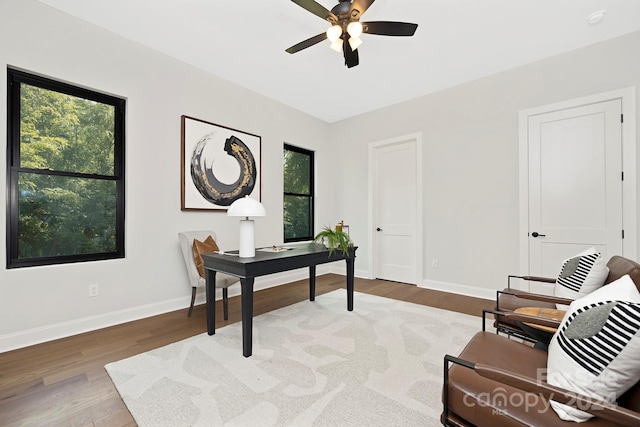 home office with ceiling fan and hardwood / wood-style floors