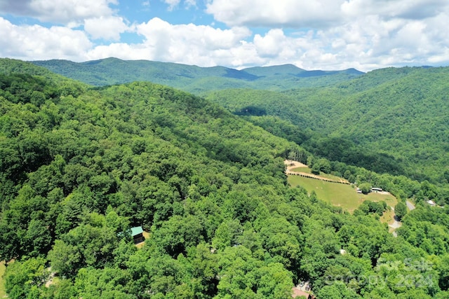 470 Bear Ridge Rd, Tuckasegee, NC 28783 - photo 2