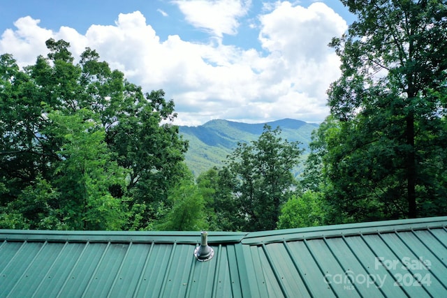 view of mountain feature