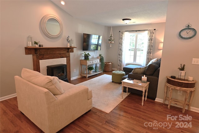 living room featuring dark wood-type flooring