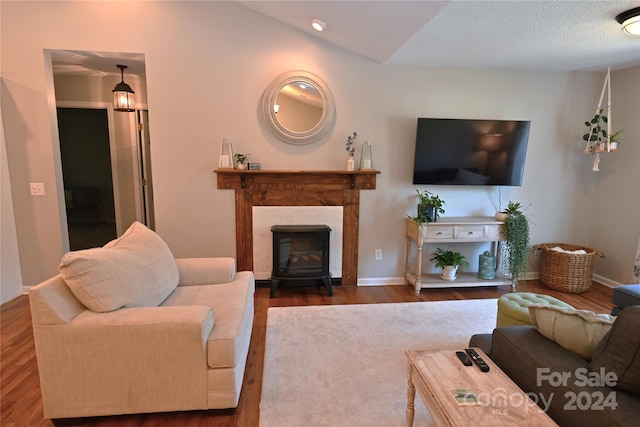 living room featuring dark wood-type flooring and lofted ceiling