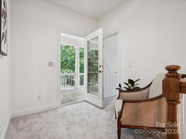 927 Dericks Xing, Fort Mill, SC 29708 - photo 38