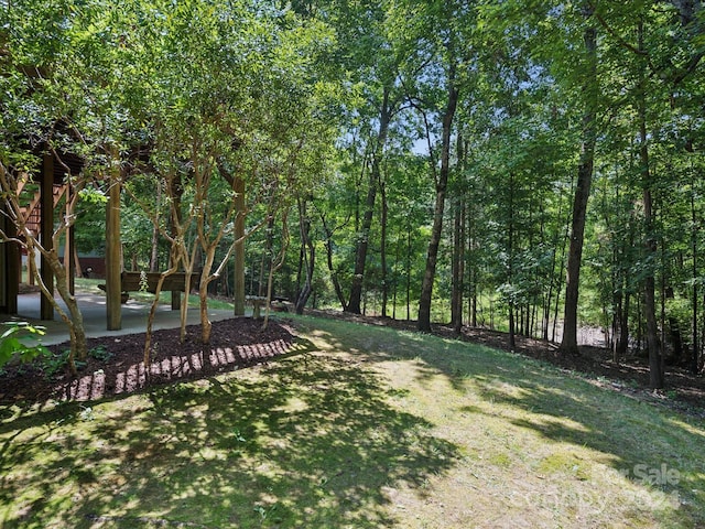 927 Dericks Xing, Fort Mill, SC 29708 - photo 46