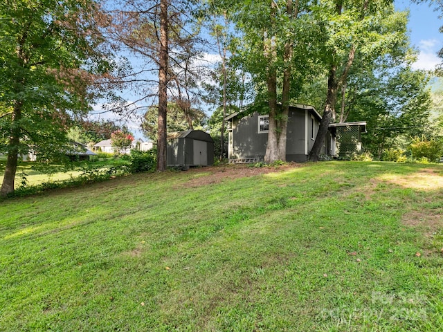 view of yard with a shed