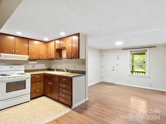 kitchen featuring electric range, light hardwood / wood-style floors, and sink