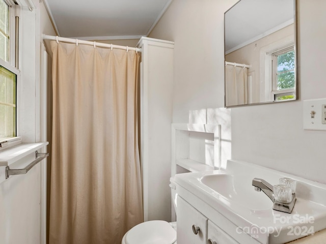 bathroom featuring lofted ceiling, vanity, toilet, and walk in shower