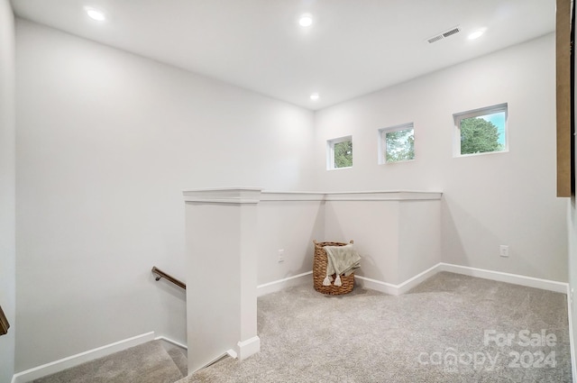 interior space featuring carpet floors and a healthy amount of sunlight