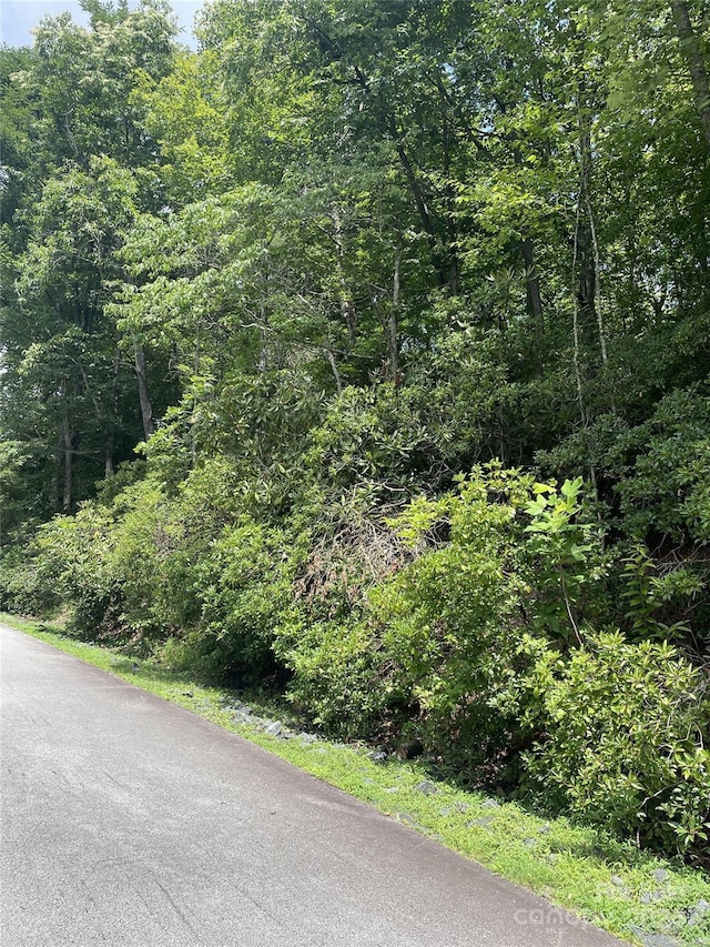 00 Winterstar Loop Unit 17, Burnsville, NC 28714