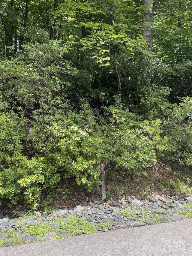 00 Winterstar Loop Unit 17, Burnsville, NC 28714