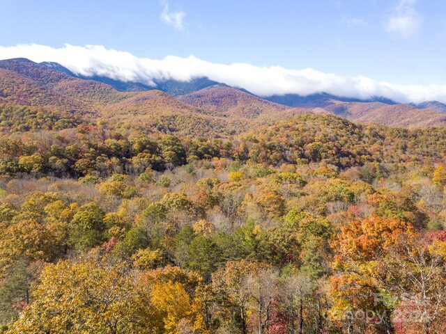 00 Winterstar Loop Unit 17, Burnsville, NC 28714