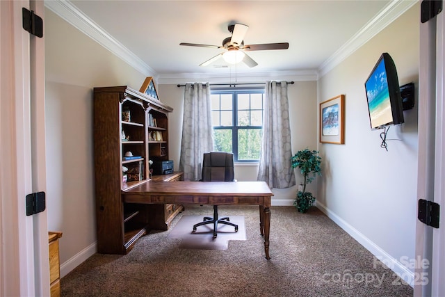 carpeted home office featuring ceiling fan and crown molding