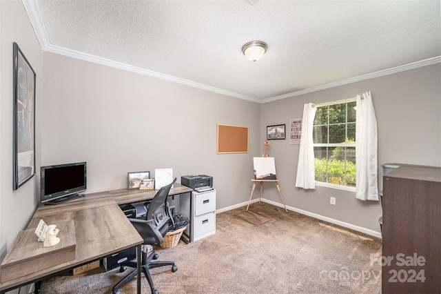 office space featuring carpet flooring, a textured ceiling, and ornamental molding