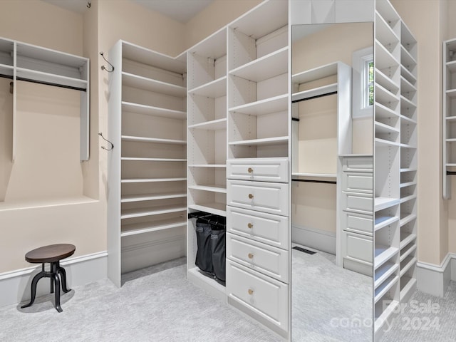 spacious closet with light carpet