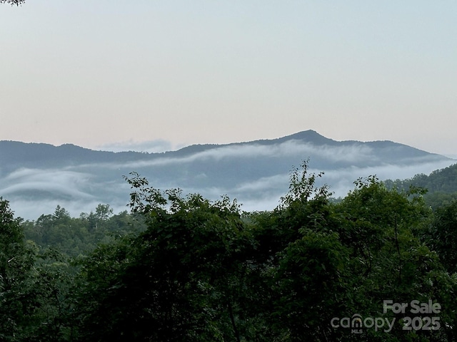 view of mountain feature with a wooded view