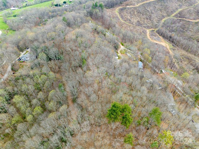 LOT20 Minerva Dr, Waynesville NC, 28785 land for sale