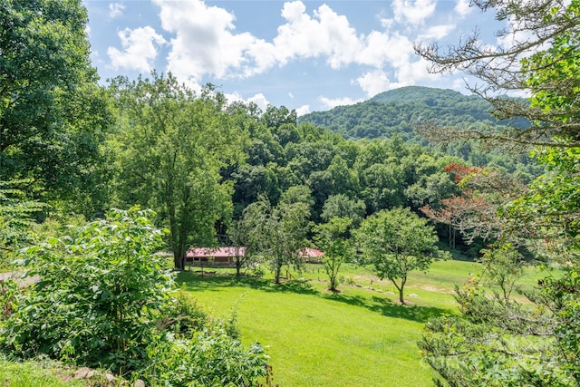 property view of mountains with a rural view