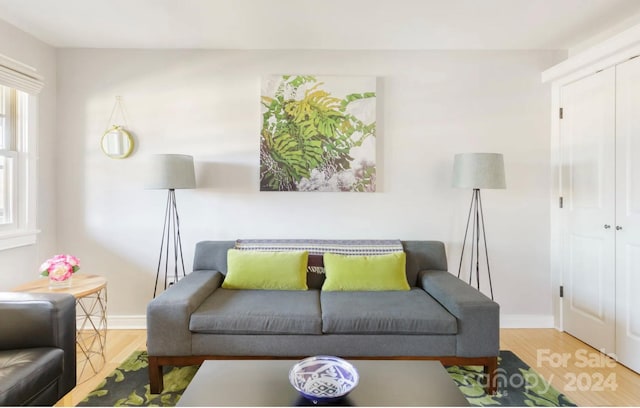 living room with wood-type flooring