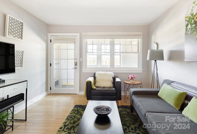 living room featuring a wealth of natural light and light hardwood / wood-style floors