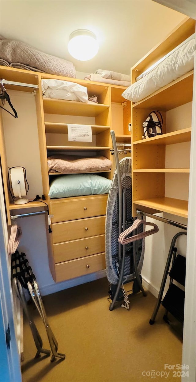 walk in closet featuring carpet floors