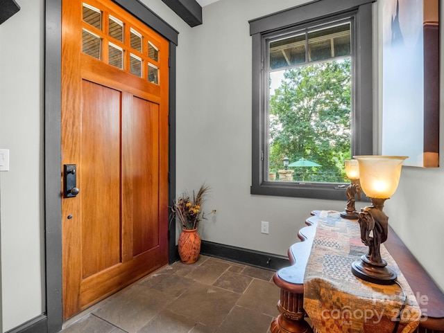 foyer featuring a wealth of natural light