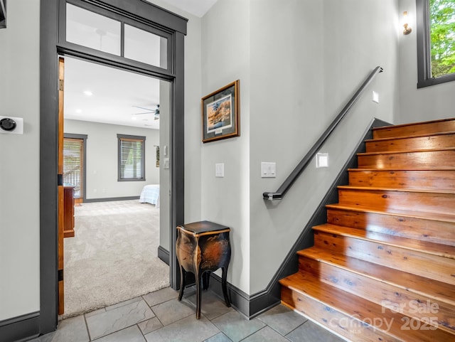 stairway featuring carpet flooring and ceiling fan