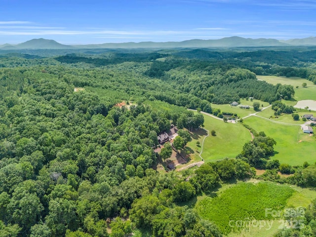 birds eye view of property featuring a mountain view