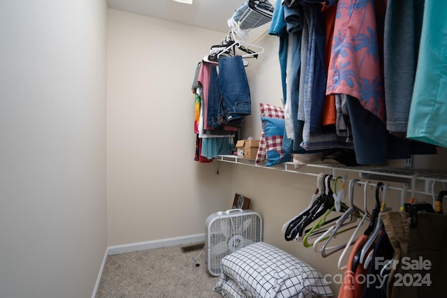 spacious closet with light colored carpet