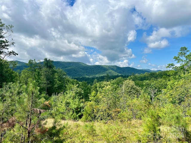 667 Laurel Thicket Ln, Brevard NC, 28712 land for sale