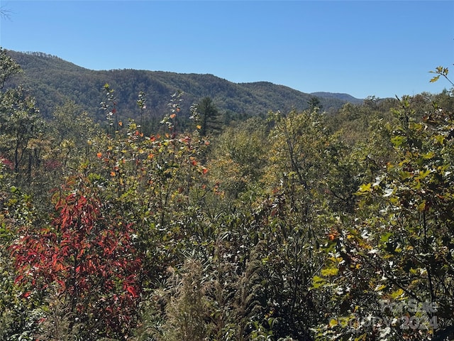 667 Laurel Thicket Ln, Brevard, NC 28712 - photo 4