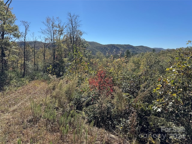 667 Laurel Thicket Ln, Brevard, NC 28712 - photo 26