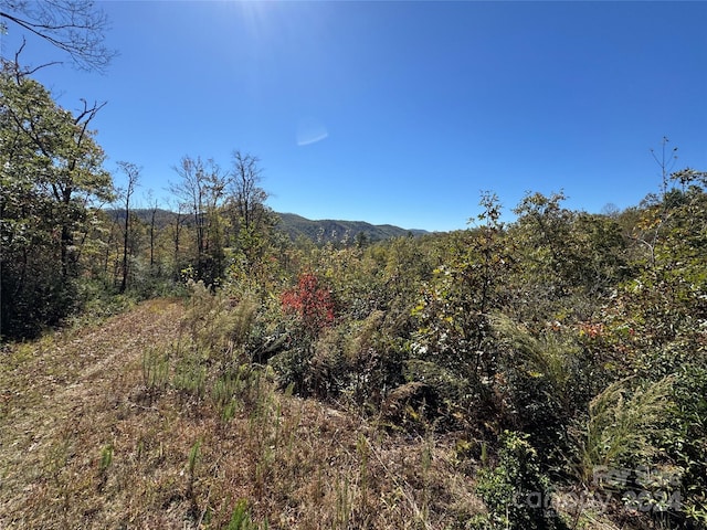667 Laurel Thicket Ln, Brevard, NC 28712 - photo 27