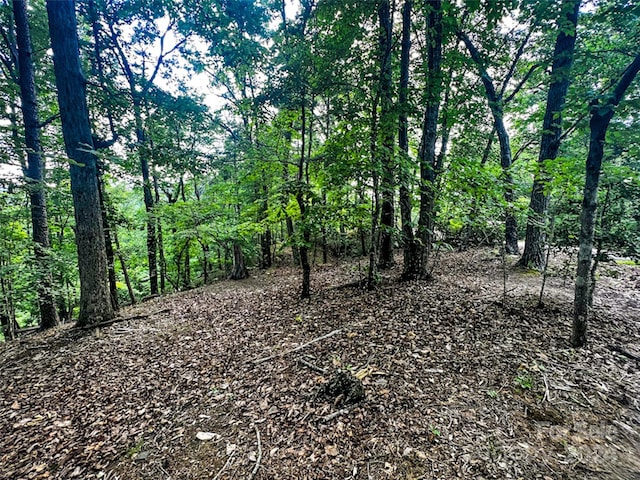 00 Whitney Blvd Lot 124, Lake Lure NC, 28746 land for sale