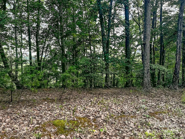 Listing photo 2 for 00 Whitney Blvd Lot 124, Lake Lure NC 28746