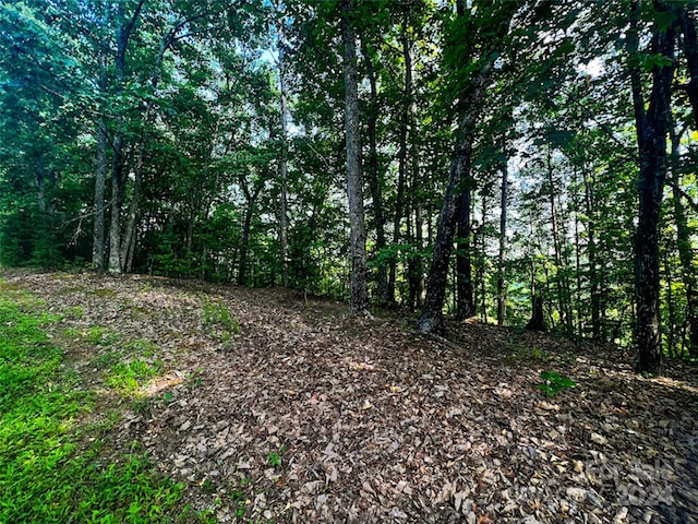 Listing photo 3 for 00 Whitney Blvd Lot 124, Lake Lure NC 28746